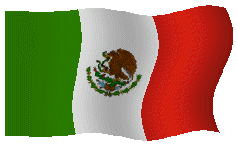 1x Mexico 2009