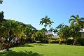 057_Caribbean_Saint_Kitts_and_Nevis_Romney_Manor_Botanical_Gardens