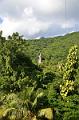 064_Caribbean_Saint_Kitts_and_Nevis_Romney_Manor_Botanical_Gardens