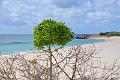 193_Caribbean_Anguilla_Dog_Island