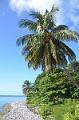 203_Caribbean_Dominica_Portsmouth