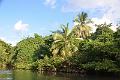 233_Caribbean_Dominica_Indian_River
