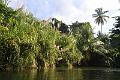 236_Caribbean_Dominica_Indian_River