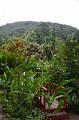 483_Caribbean_Saint_Lucia_Soufriere_Diamond_Botanical_Gardens