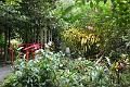 486_Caribbean_Saint_Lucia_Soufriere_Diamond_Botanical_Gardens