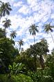 509_Caribbean_Saint_Lucia_Soufriere_Diamond_Botanical_Gardens