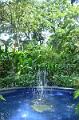 514_Caribbean_Saint_Lucia_Soufriere_Diamond_Botanical_Gardens