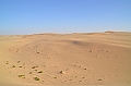 065_Abu_Dhabi_Jeep_Safari