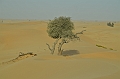 067_Abu_Dhabi_Jeep_Safari