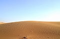 075_Abu_Dhabi_Jeep_Safari
