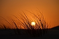 094_Abu_Dhabi_Jeep_Safari_Sunset