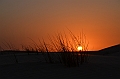 096_Abu_Dhabi_Jeep_Safari_Sunset